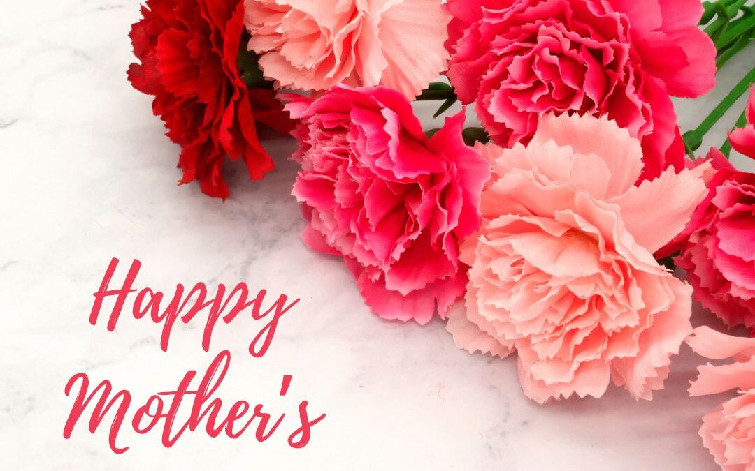 Mother’s Day Carnations